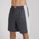 LEONE LOGO wacs Training shorts-grey